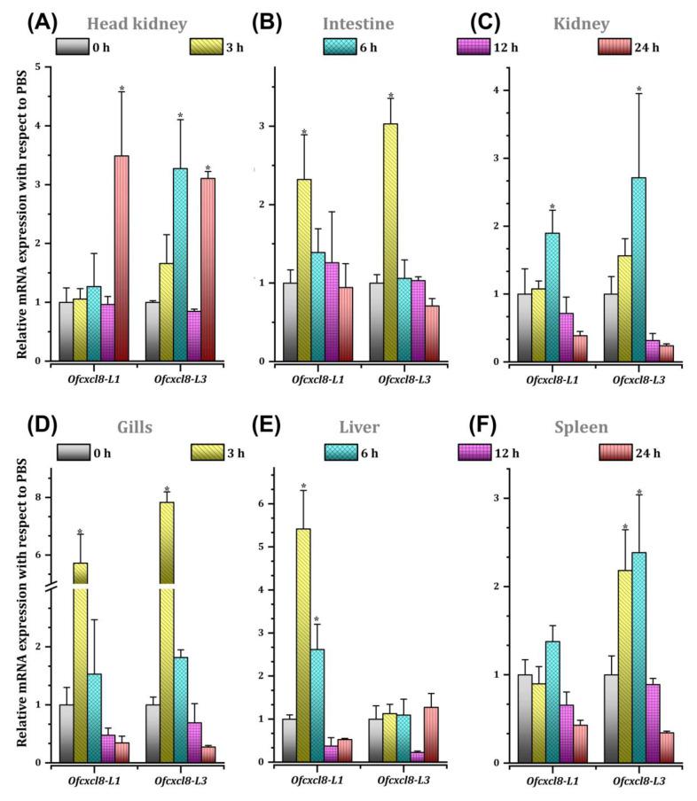 https://cdn.ncbi.nlm.nih.gov/pmc/blobs/b765/7601086/5e1b088a36bb/biomolecules-10-01382-g007.jpg