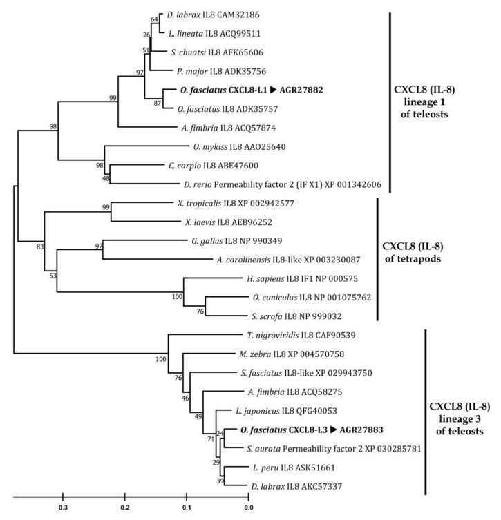 https://cdn.ncbi.nlm.nih.gov/pmc/blobs/b765/7601086/ac25c0796a84/biomolecules-10-01382-g003.jpg