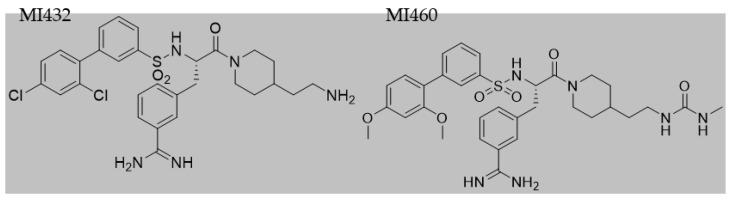 https://cdn.ncbi.nlm.nih.gov/pmc/blobs/b765/8143509/fe340cfba1f8/biomedicines-09-00450-g002.jpg