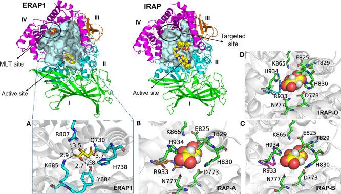 https://cdn.ncbi.nlm.nih.gov/pmc/blobs/b767/12059914/4e36cfaa5de3/ao5c01169_0002.jpg