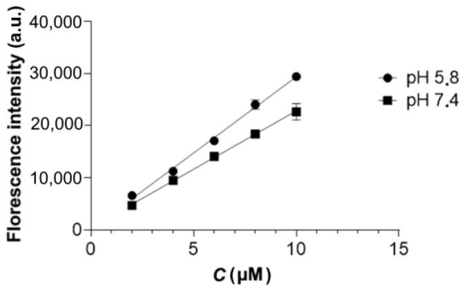 https://cdn.ncbi.nlm.nih.gov/pmc/blobs/b768/9409415/e98113848bde/ijms-23-09093-g004.jpg