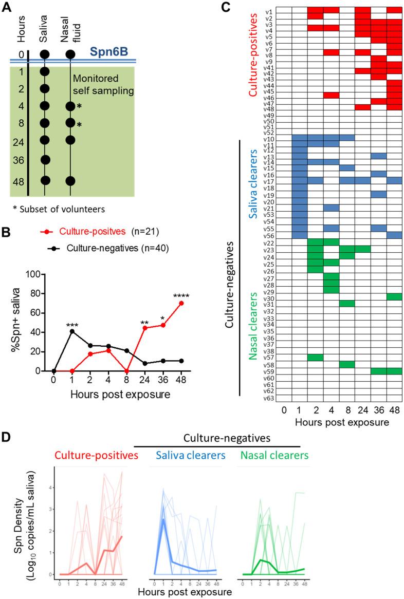 https://cdn.ncbi.nlm.nih.gov/pmc/blobs/b76b/7844534/60720a6d61b0/mBio.02020-20-f0001.jpg