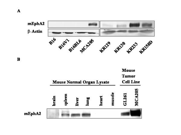 https://cdn.ncbi.nlm.nih.gov/pmc/blobs/b76f/535538/11d8473d4e7d/1479-5876-2-40-1.jpg
