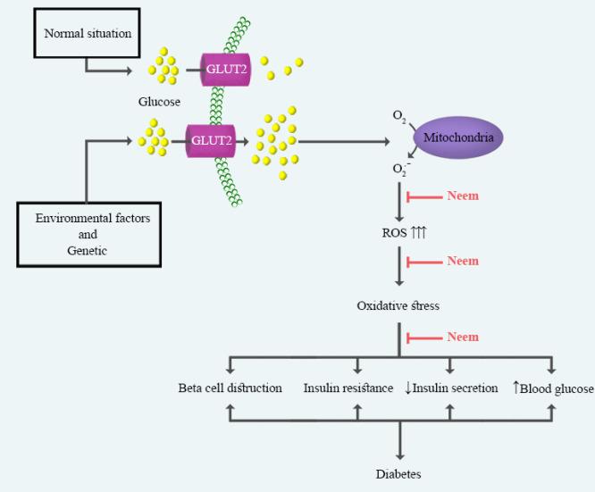 https://cdn.ncbi.nlm.nih.gov/pmc/blobs/b770/8087850/a7d86c3d53ac/IJBMS-24-280-g003.jpg