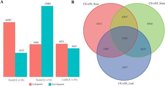https://cdn.ncbi.nlm.nih.gov/pmc/blobs/b772/8060397/6b2ddaeebf01/41598_2021_87999_Fig2_HTML.jpg