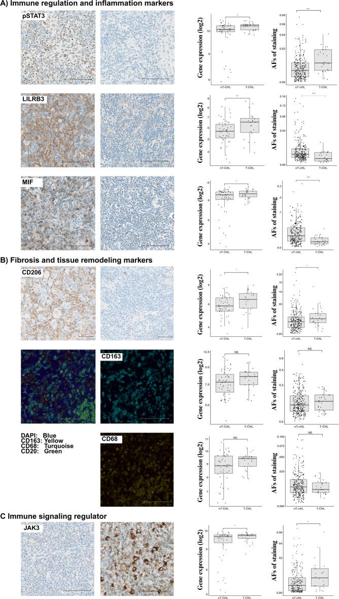 https://cdn.ncbi.nlm.nih.gov/pmc/blobs/b773/12361566/d63d7226159c/41598_2025_16218_Fig4_HTML.jpg