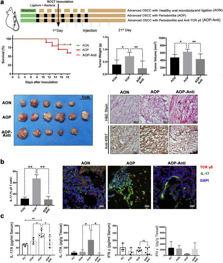 https://cdn.ncbi.nlm.nih.gov/pmc/blobs/b773/9600543/0f5c0dd12742/msystems.00469-22-f005.jpg
