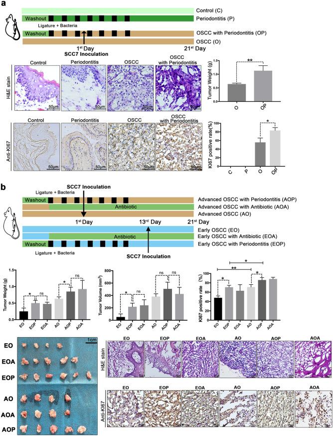 https://cdn.ncbi.nlm.nih.gov/pmc/blobs/b773/9600543/16279358200a/msystems.00469-22-f001.jpg