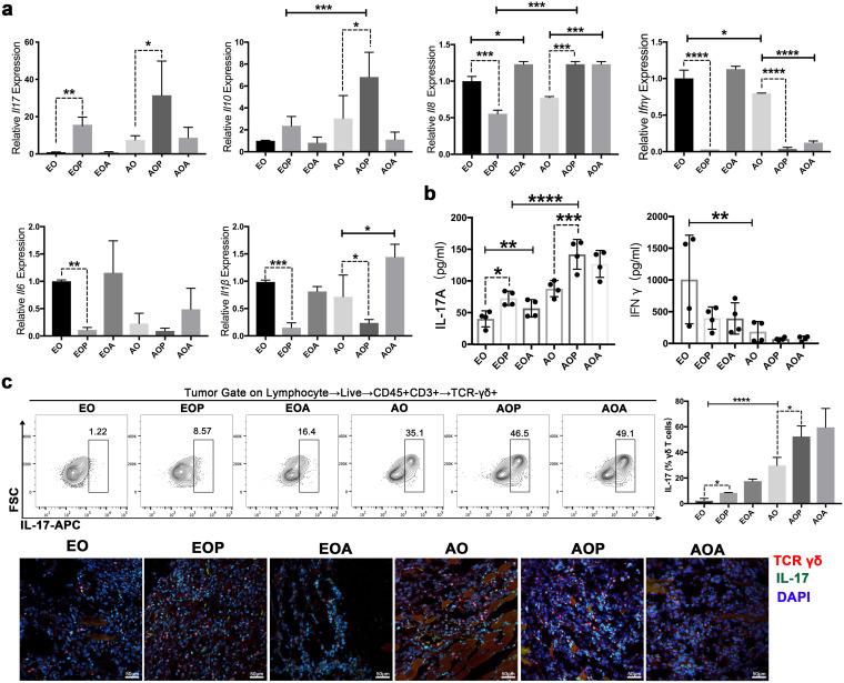 https://cdn.ncbi.nlm.nih.gov/pmc/blobs/b773/9600543/4fc39c75332b/msystems.00469-22-f003.jpg
