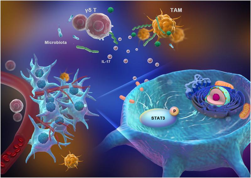 https://cdn.ncbi.nlm.nih.gov/pmc/blobs/b773/9600543/75422b0b4975/msystems.00469-22-f007.jpg