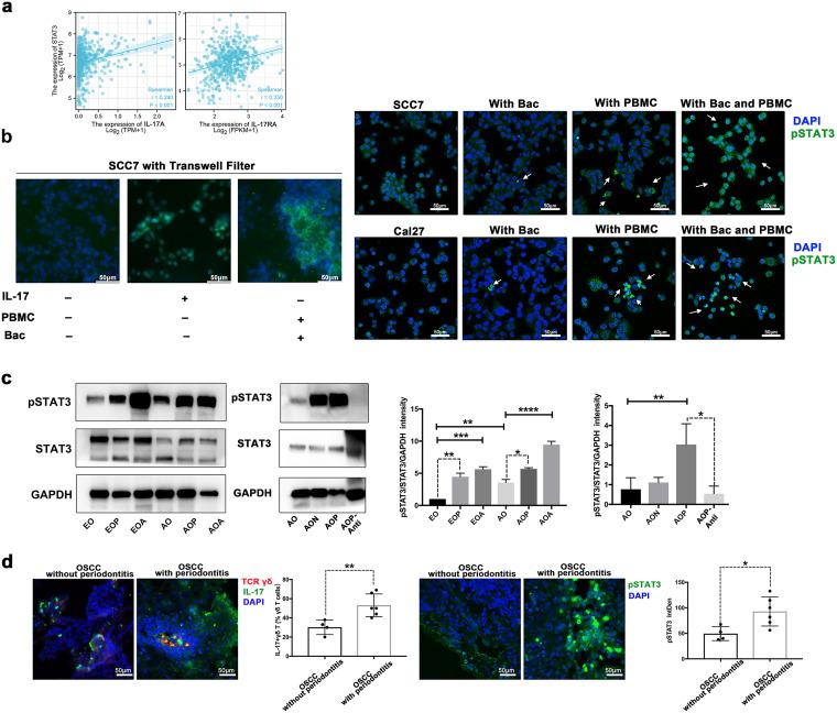 https://cdn.ncbi.nlm.nih.gov/pmc/blobs/b773/9600543/b4e89c89afde/msystems.00469-22-f006.jpg