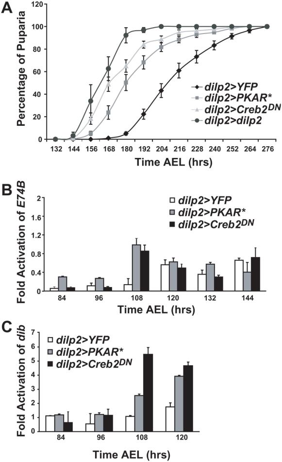 https://cdn.ncbi.nlm.nih.gov/pmc/blobs/b774/2662422/5760f2c71138/pone.0005072.g002.jpg