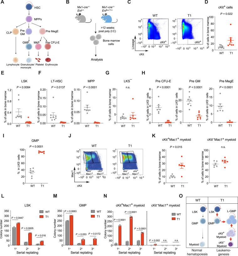 https://cdn.ncbi.nlm.nih.gov/pmc/blobs/b778/11294821/37b8282919b3/cd-23-0876fig2.jpg