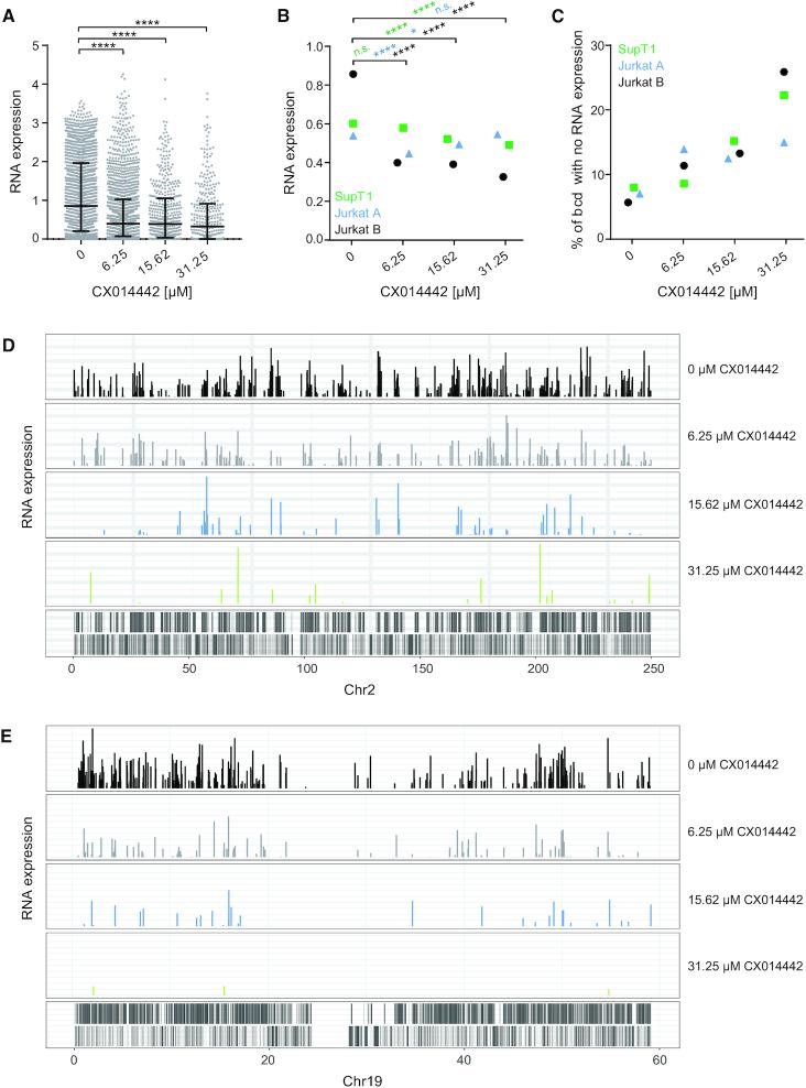 https://cdn.ncbi.nlm.nih.gov/pmc/blobs/b77a/7641320/36407d502a09/gkaa536fig4.jpg