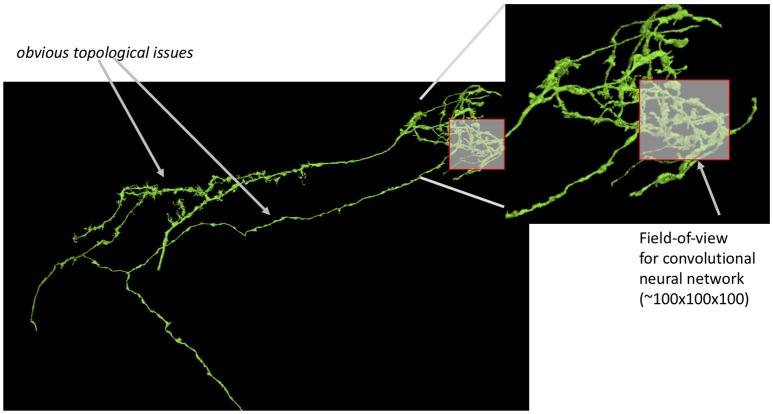 https://cdn.ncbi.nlm.nih.gov/pmc/blobs/b77e/6243088/00038b35489f/fncir-12-00102-g0001.jpg