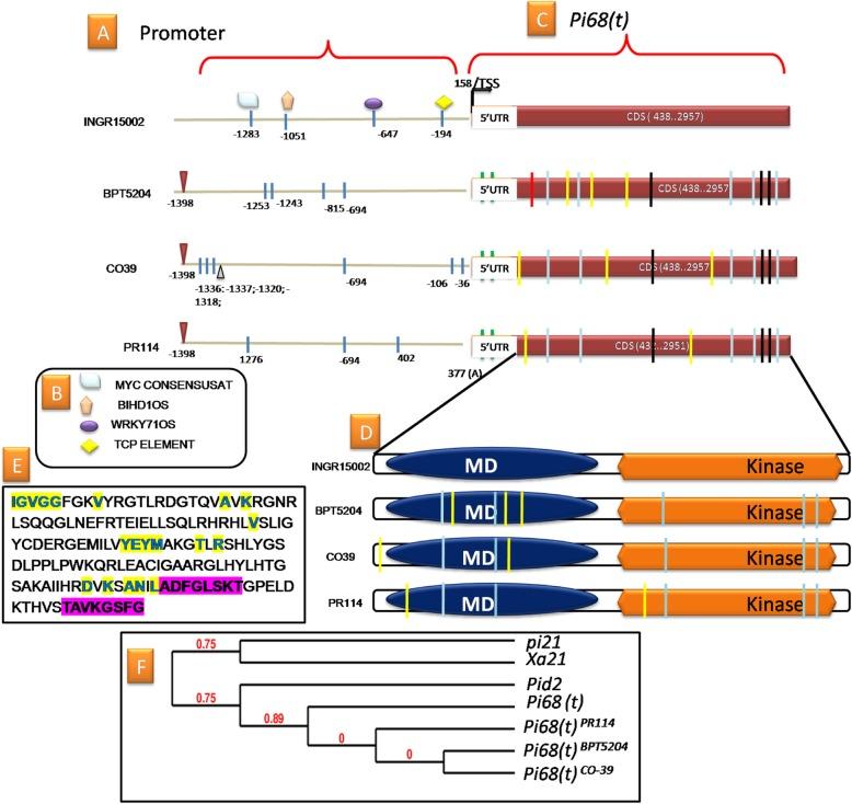 https://cdn.ncbi.nlm.nih.gov/pmc/blobs/b77e/7067966/4305bb767244/12284_2020_378_Fig2_HTML.jpg