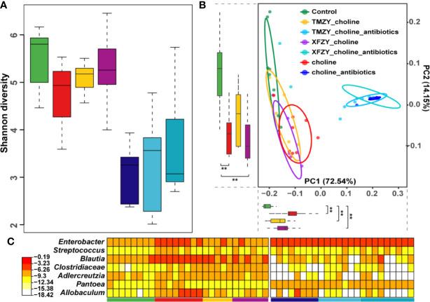 https://cdn.ncbi.nlm.nih.gov/pmc/blobs/b77f/7593568/9e9cd2c55e8e/fphar-11-546589-g006.jpg