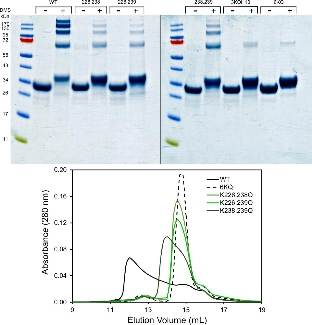 https://cdn.ncbi.nlm.nih.gov/pmc/blobs/b780/11433772/40d50affa07a/nihms-2022713-f0006.jpg