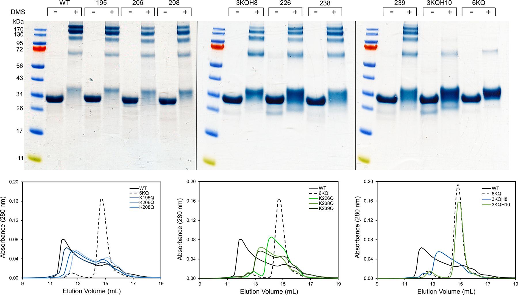 https://cdn.ncbi.nlm.nih.gov/pmc/blobs/b780/11433772/a345af3340ed/nihms-2022713-f0005.jpg