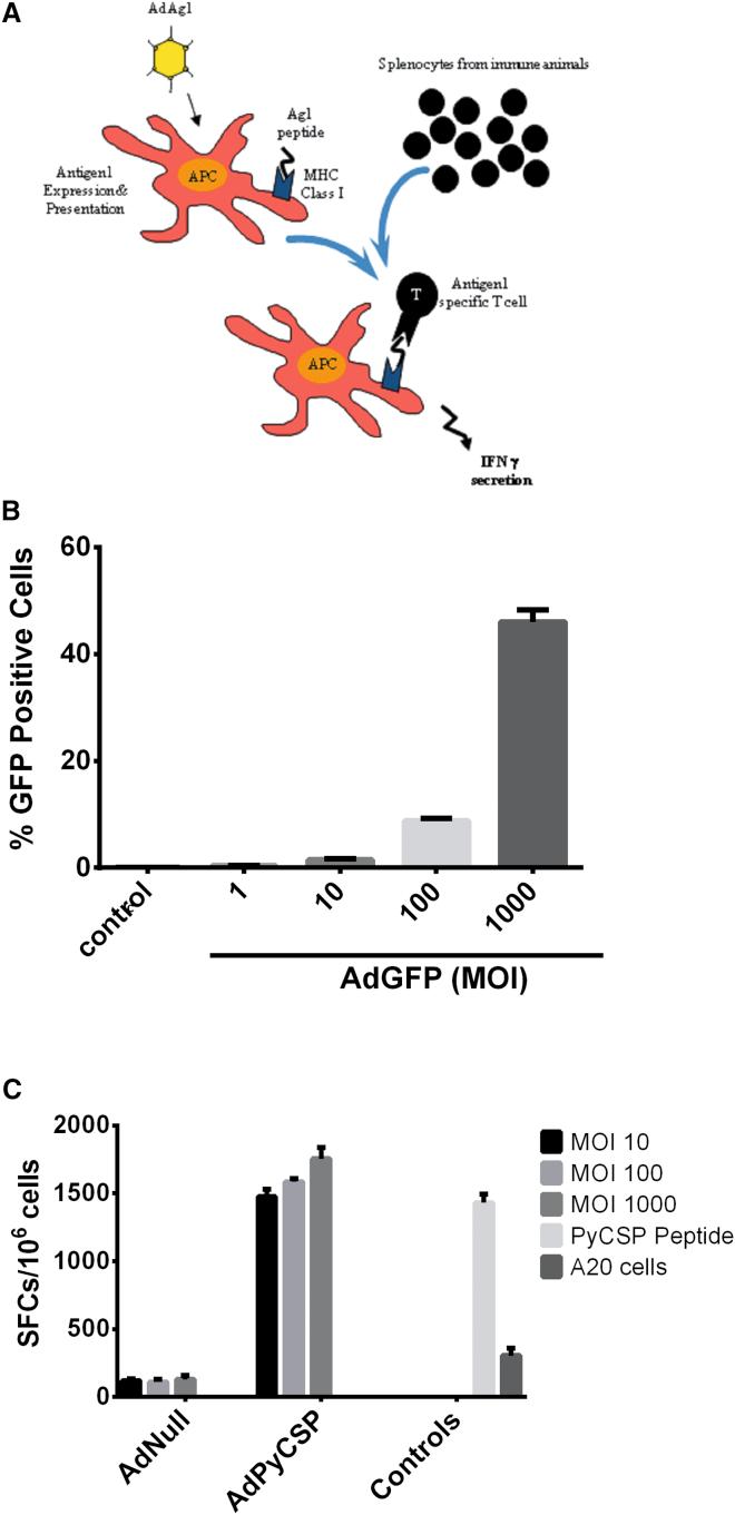https://cdn.ncbi.nlm.nih.gov/pmc/blobs/b782/5602877/b29366075959/gr3.jpg