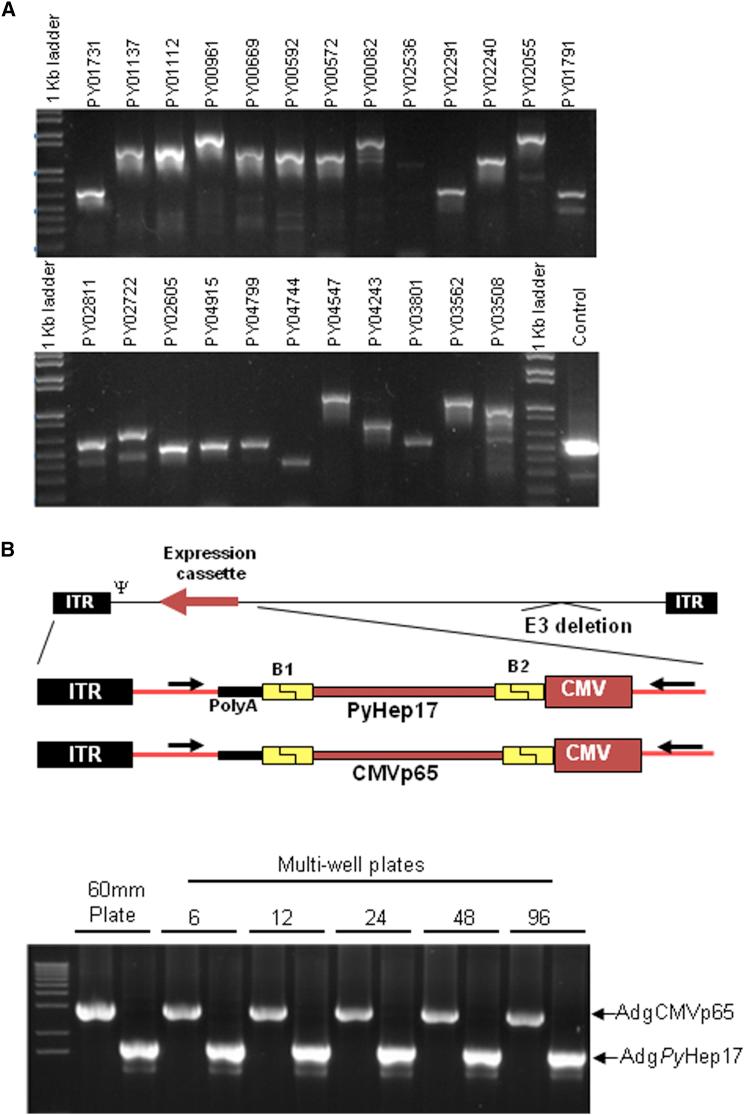 https://cdn.ncbi.nlm.nih.gov/pmc/blobs/b782/5602877/da711fa8161e/gr2.jpg