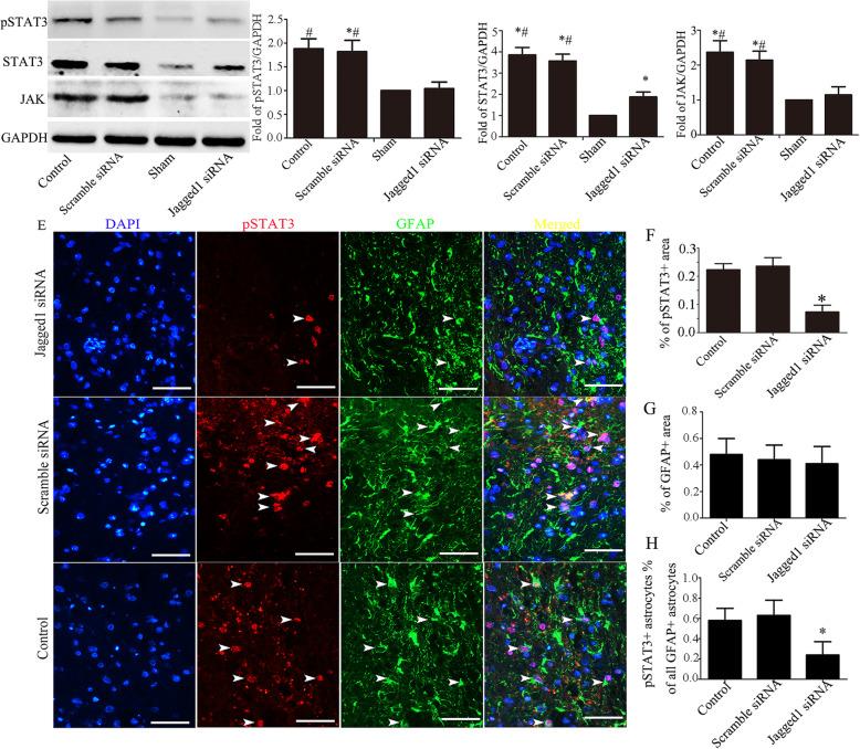 https://cdn.ncbi.nlm.nih.gov/pmc/blobs/b782/7268310/8faa89064098/13287_2020_1724_Fig7_HTML.jpg