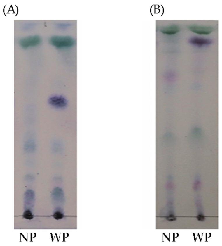https://cdn.ncbi.nlm.nih.gov/pmc/blobs/b783/10648821/baaa6a224d1c/foods-12-03893-g004.jpg