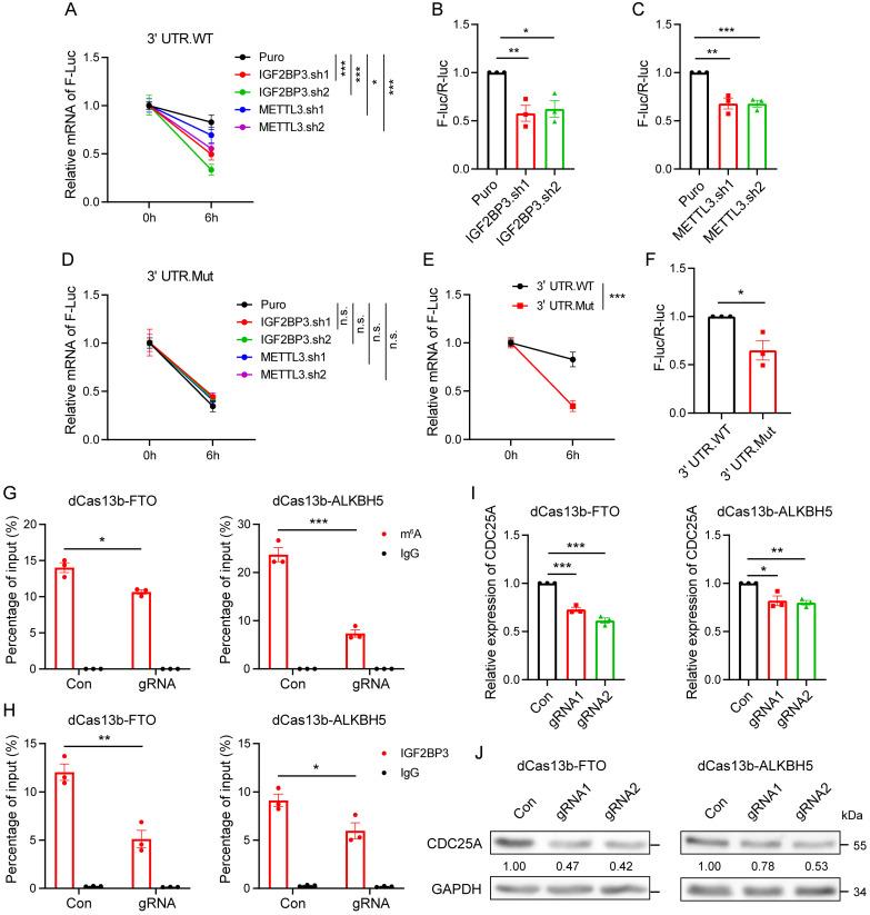 https://cdn.ncbi.nlm.nih.gov/pmc/blobs/b783/11379066/aca33791ff4a/ijbsv20p4209g006.jpg