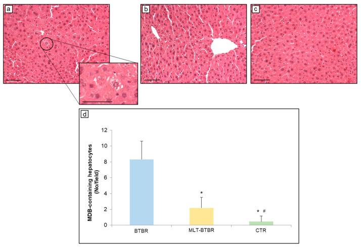 https://cdn.ncbi.nlm.nih.gov/pmc/blobs/b783/11640888/8691c8e25421/ijms-25-12598-g001.jpg