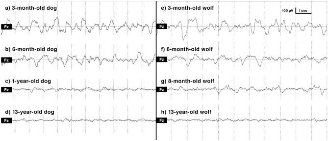 https://cdn.ncbi.nlm.nih.gov/pmc/blobs/b784/9192648/9ec50ea51b2f/41598_2022_13643_Fig4_HTML.jpg