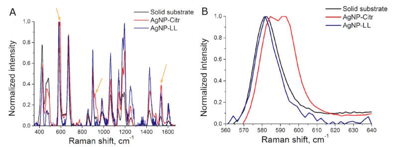 https://cdn.ncbi.nlm.nih.gov/pmc/blobs/b785/7918581/0452e257ca47/ijms-22-01842-g001.jpg
