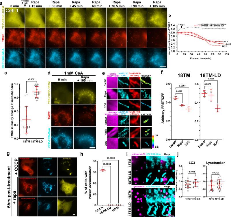 https://cdn.ncbi.nlm.nih.gov/pmc/blobs/b785/9338259/1b47319236f4/41467_2022_31946_Fig3_HTML.jpg
