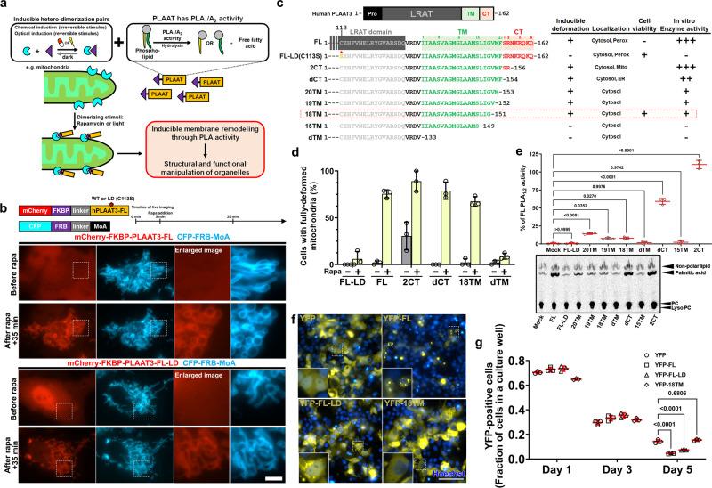 https://cdn.ncbi.nlm.nih.gov/pmc/blobs/b785/9338259/92f42a2ed531/41467_2022_31946_Fig1_HTML.jpg
