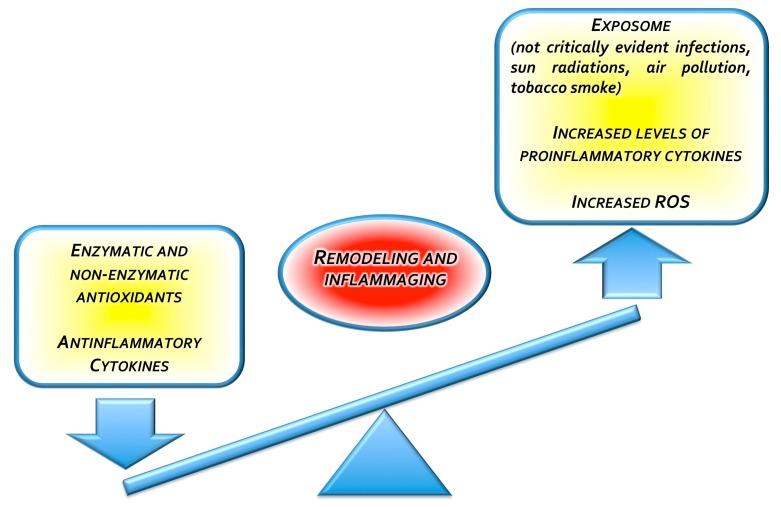 https://cdn.ncbi.nlm.nih.gov/pmc/blobs/b787/6770633/2840fa7bc3a7/nutrients-11-02169-g002.jpg
