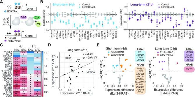 https://cdn.ncbi.nlm.nih.gov/pmc/blobs/b787/8989539/0718140c8161/gkac123fig3.jpg