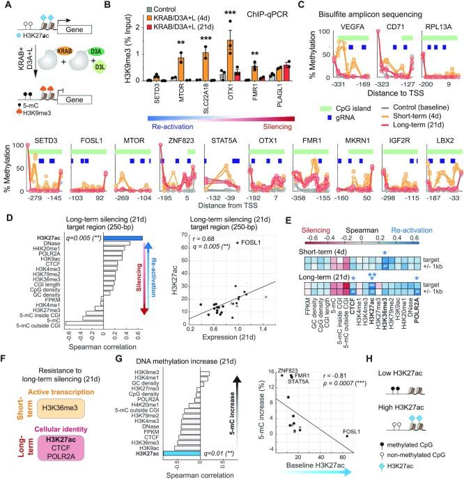 https://cdn.ncbi.nlm.nih.gov/pmc/blobs/b787/8989539/0ffe52aeeda9/gkac123fig2.jpg