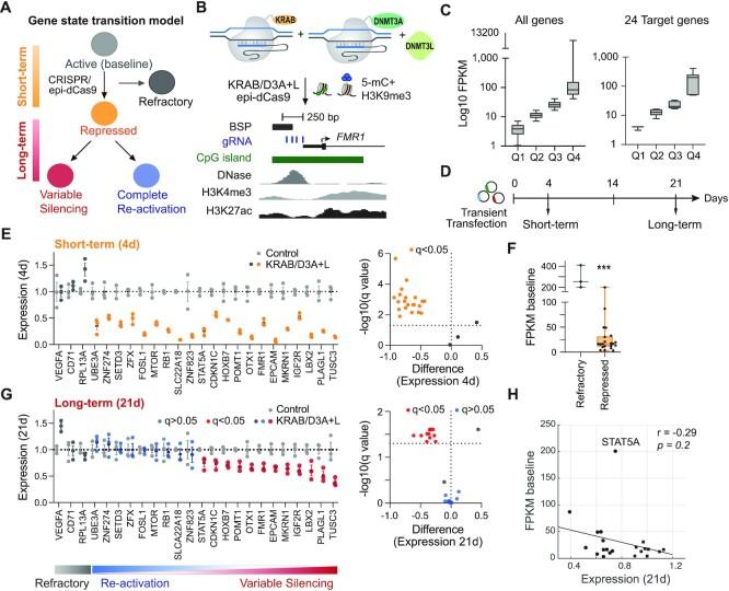 https://cdn.ncbi.nlm.nih.gov/pmc/blobs/b787/8989539/923565e91a45/gkac123fig1.jpg