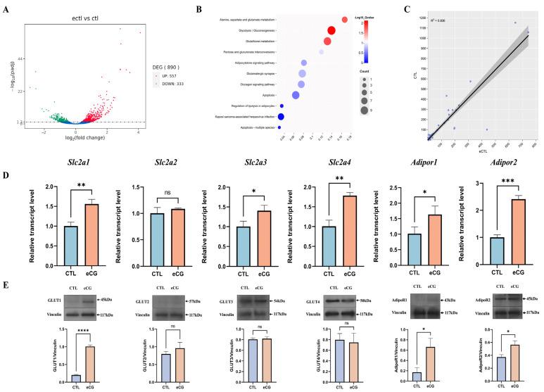 https://cdn.ncbi.nlm.nih.gov/pmc/blobs/b789/11120769/a465f0565cdc/ijms-25-05155-g004.jpg