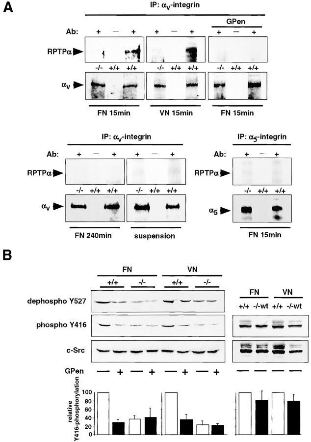 https://cdn.ncbi.nlm.nih.gov/pmc/blobs/b78b/2172891/092c421cce42/200211061f3.jpg