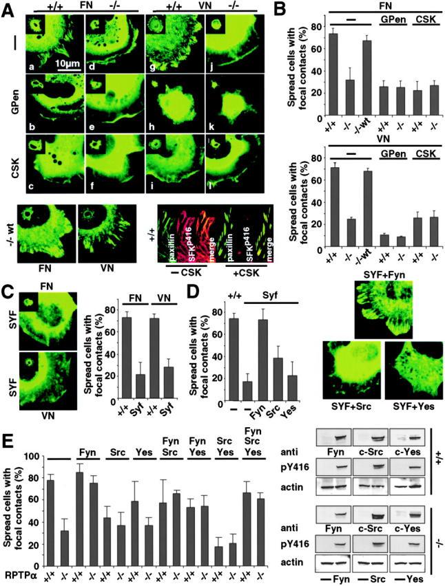 https://cdn.ncbi.nlm.nih.gov/pmc/blobs/b78b/2172891/4a3bd156fee7/200211061f4.jpg