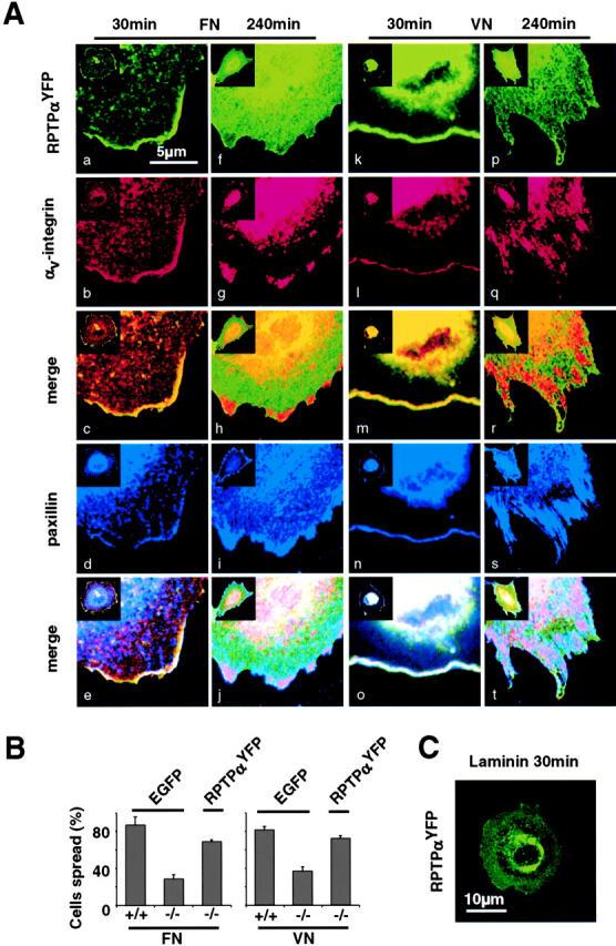 https://cdn.ncbi.nlm.nih.gov/pmc/blobs/b78b/2172891/659cefba392f/200211061f2.jpg