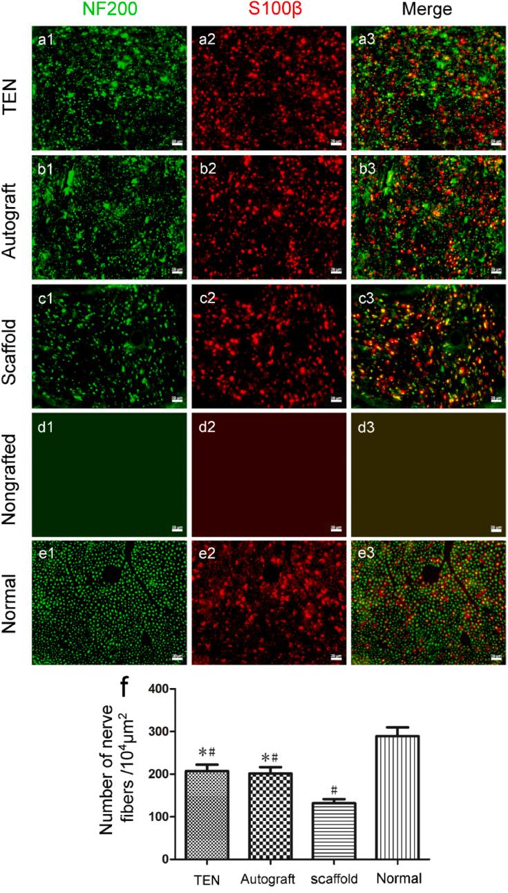 https://cdn.ncbi.nlm.nih.gov/pmc/blobs/b78c/11364897/2121334b657e/gr5.jpg