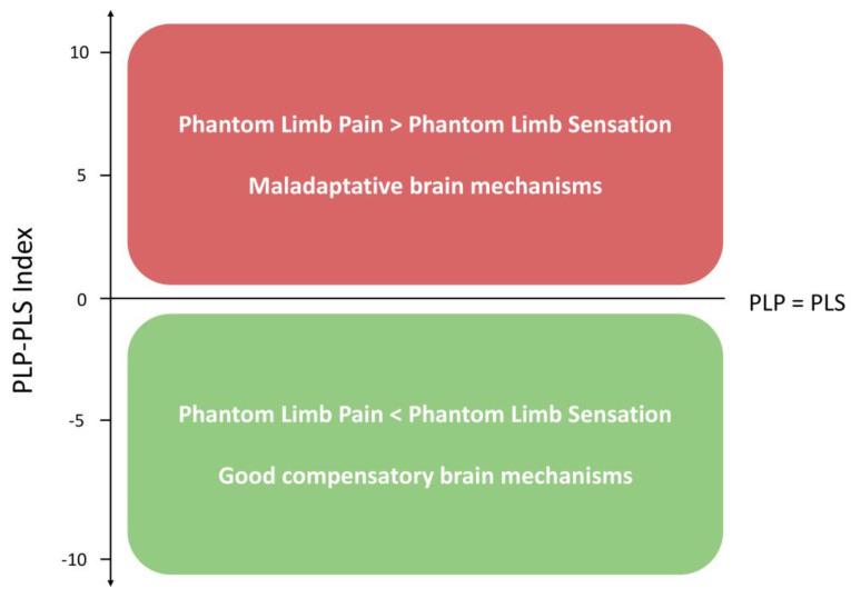 https://cdn.ncbi.nlm.nih.gov/pmc/blobs/b78d/11429012/b6d793bba211/biomedicines-12-02035-g002.jpg