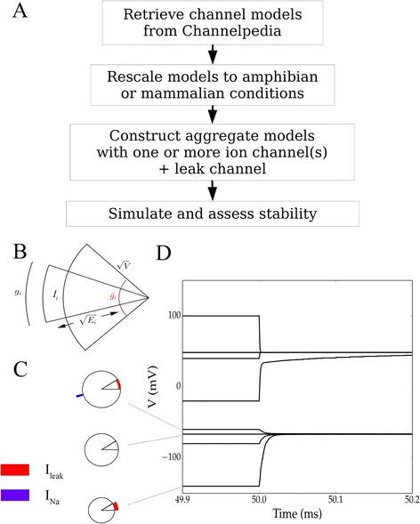 https://cdn.ncbi.nlm.nih.gov/pmc/blobs/b78d/4608135/ec4ecfcbbdbe/12976_2015_19_Fig1_HTML.jpg