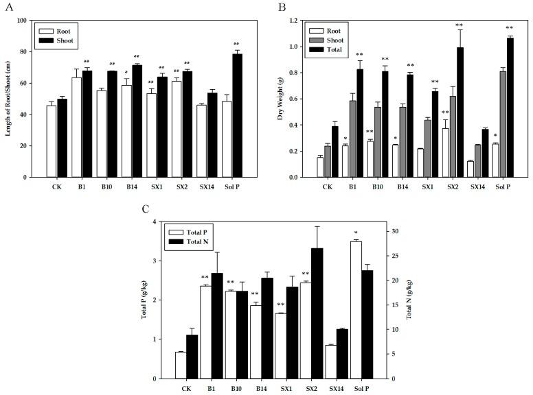 https://cdn.ncbi.nlm.nih.gov/pmc/blobs/b78e/5535823/697229eb0211/ijms-18-01253-g003.jpg