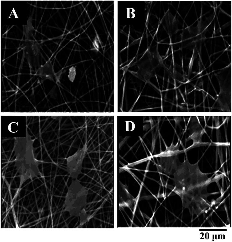 https://cdn.ncbi.nlm.nih.gov/pmc/blobs/b78e/9070372/f66dac298ed6/c9ra05012d-f10.jpg
