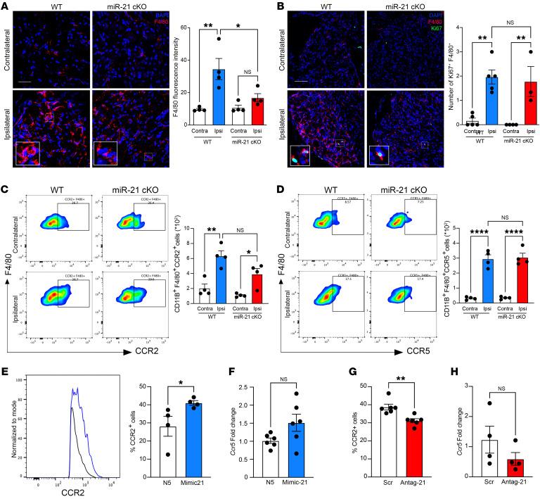 https://cdn.ncbi.nlm.nih.gov/pmc/blobs/b78f/10232007/8b1928ec3de0/jci-133-164472-g227.jpg