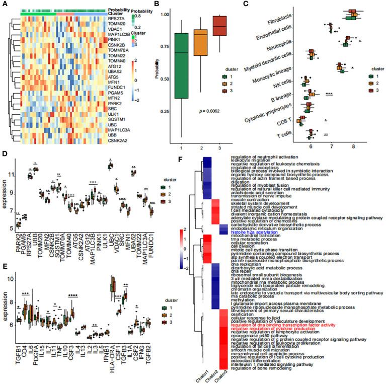 https://cdn.ncbi.nlm.nih.gov/pmc/blobs/b78f/11061384/be78a279f450/fimmu-15-1370647-g004.jpg