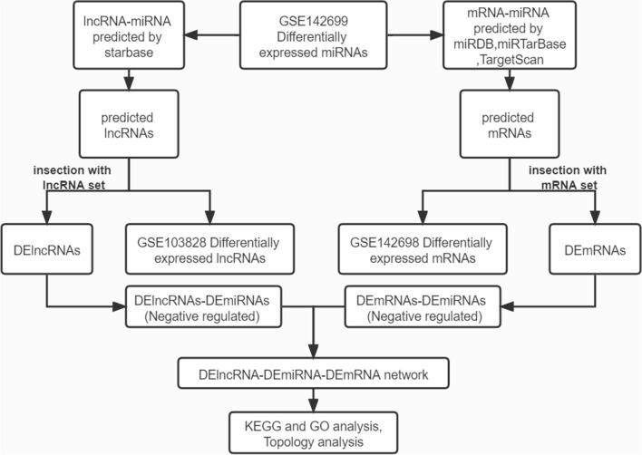 https://cdn.ncbi.nlm.nih.gov/pmc/blobs/b78f/8942983/23126c1e28be/41598_2022_8930_Fig1_HTML.jpg