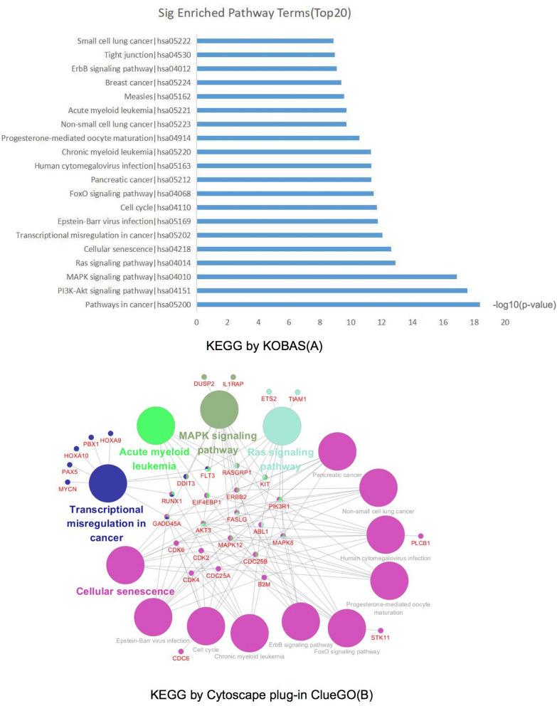 https://cdn.ncbi.nlm.nih.gov/pmc/blobs/b78f/8942983/66435e252506/41598_2022_8930_Fig5_HTML.jpg